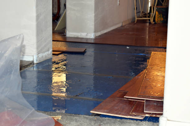 Professional Water Damage Restoration technician working in Lyndhurst, VA